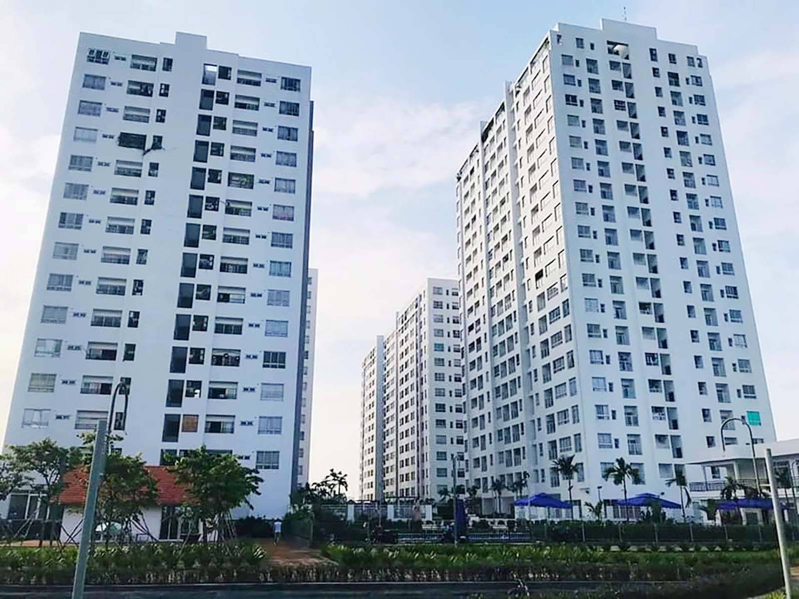 TP HCM đã cấp sổ hồng cho hơn 43.000 căn nhà