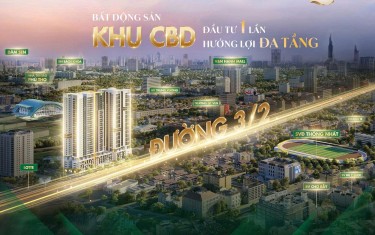 The Park Avenue Quận 11| Bảng giá CĐT Novaland