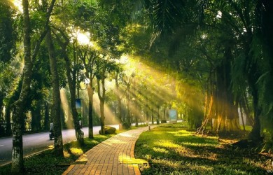 Biệt thự dành cho giới thượng lưu: Cạnh tranh nhờ sự khác biệt