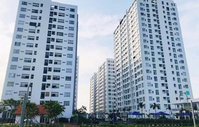 TP HCM đã cấp sổ hồng cho hơn 43.000 căn nhà
